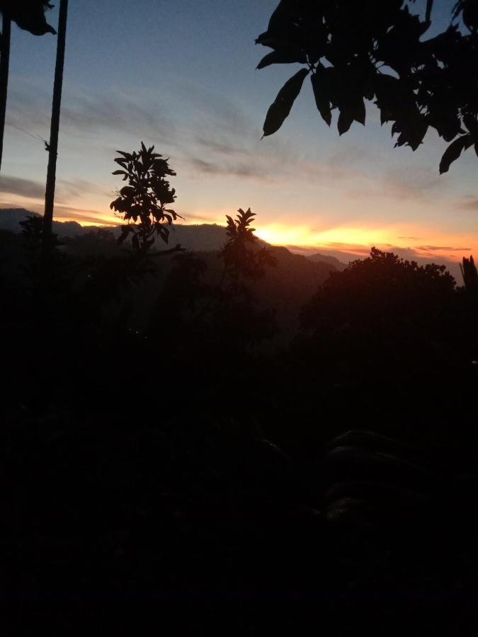 Charming View Homestay เอลลา ภายนอก รูปภาพ