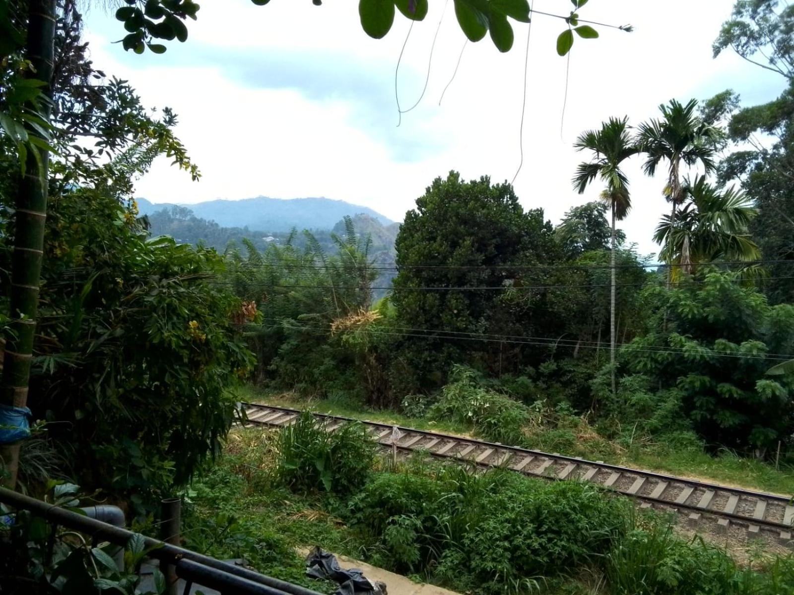 Charming View Homestay เอลลา ภายนอก รูปภาพ