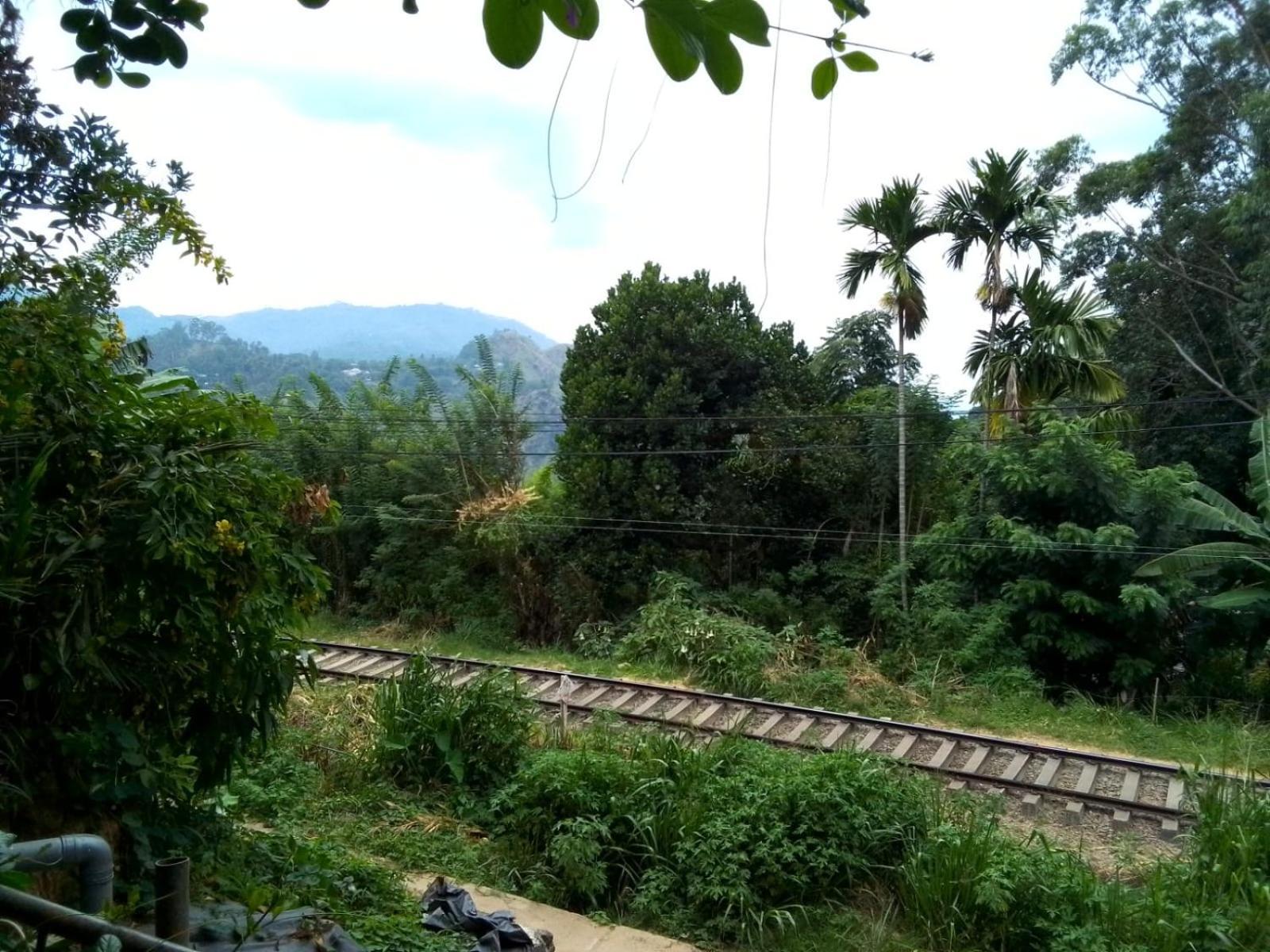 Charming View Homestay เอลลา ภายนอก รูปภาพ