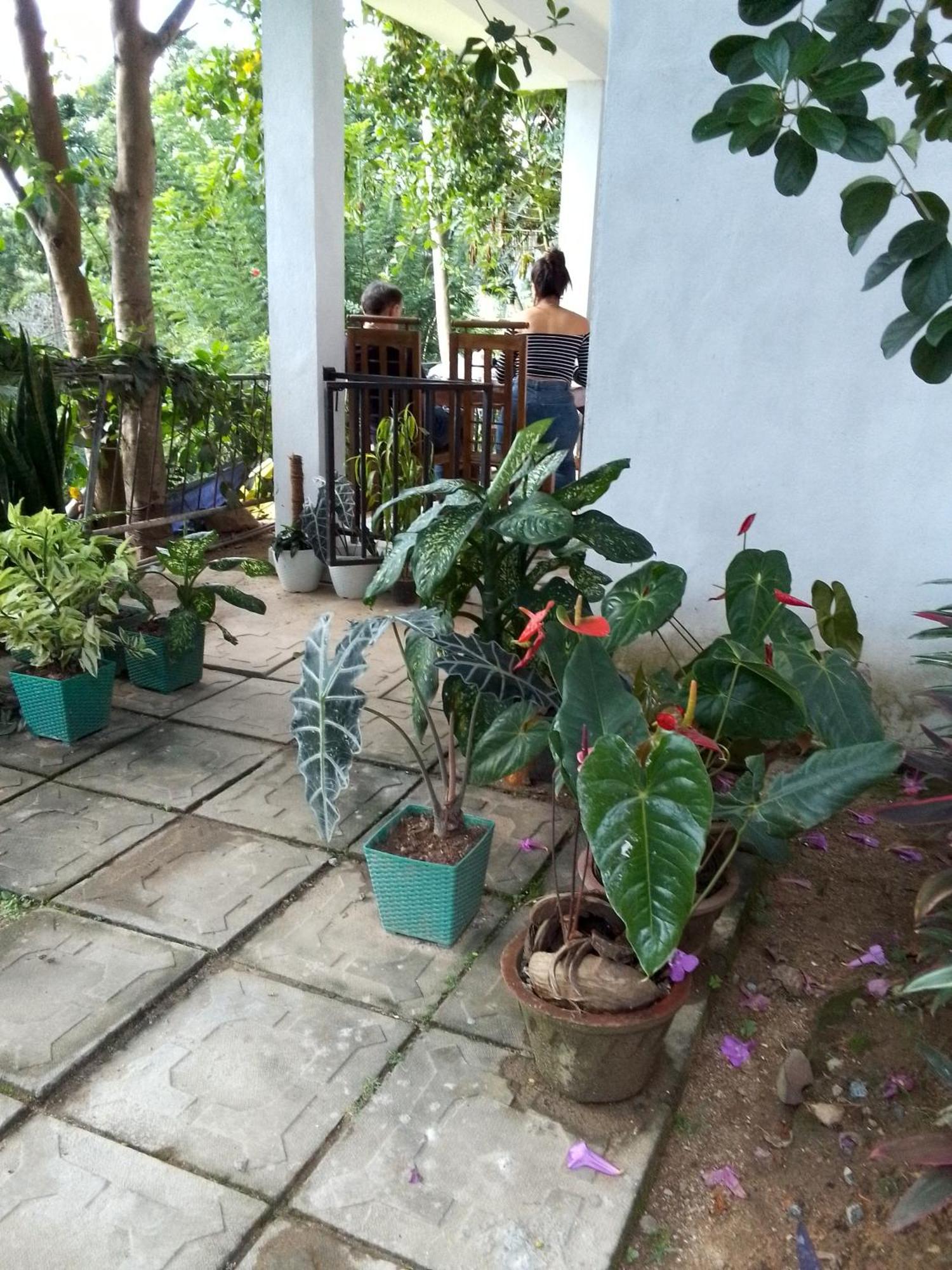 Charming View Homestay เอลลา ห้อง รูปภาพ