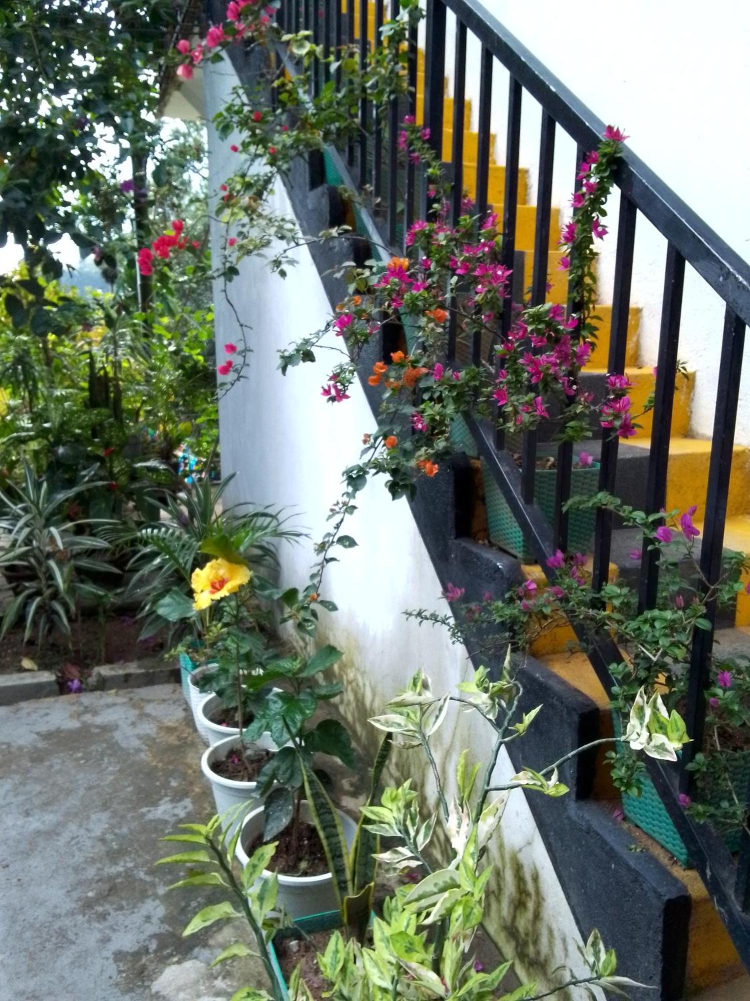 Charming View Homestay เอลลา ภายนอก รูปภาพ
